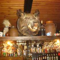 Сдам в Аренду-БАР, в г.Одесса