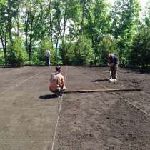 Работы по обустройству территории в Александрове, в Александрове