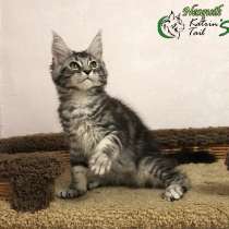 Супер Мальчик Мейн-Кун, в Таганроге