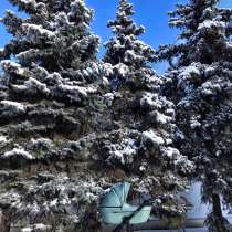 Коляска 2 в 1, в Волгограде