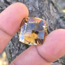 Золотистый Скаполит, в Москве