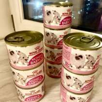Royal Canin kitten 24 баночек (195 гр), в Санкт-Петербурге