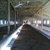 Сдам в аренду помещения, в г.Homburg