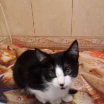 Необыкновенные мальчики, в Москве