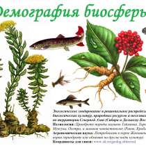 Таёжный подрядчик к Вашим услугам, в Томске