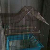 Клетка для птиц, в Красноярске