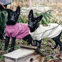 Две веселые сестрички! Ласковые щенки Белка и Чернуха в дар, в Москве