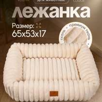 Лежанка, в Москве