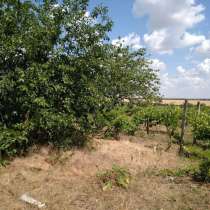 Продается дом в Приднестровье, в г.Тирасполь