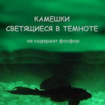 камешки для аквариумов светящиеся в тем., в Ижевске