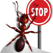 Уничтожить муравьев. Гарантия. Профессионалы. Скидки, в Москве