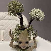 Дерево из цетрарии, в Щелково