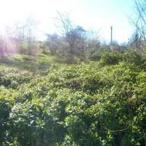 Продажа участка 6 сот в Сочи, Хостинский р-н, в Сочи