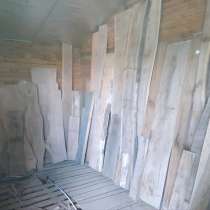 Дуб, орех, карагач, гледичия (розовая акация), в Таганроге