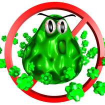 От плесени, в Москве