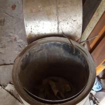 Нержавеющая лента, в Махачкале