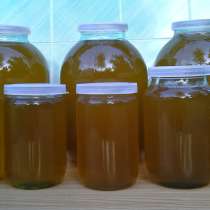 Мед, мед в сотах, в Москве