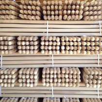 Черенки от производителя, в Смоленске