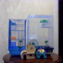 Продам клетки для грызунов, в Рязани