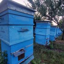 Продается пасека, в г.Луганск