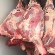 Говядина, свинина, фарш, в Тюмени