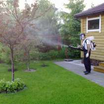 Опрыскивание сада, в Белгороде