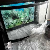 Аквариум, в Ярославле