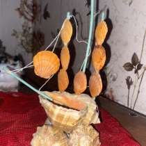 Ракушки, в Москве