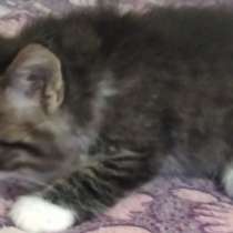 В добрые руки, в г.Луганск