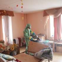 Дезинфекция - уничтожение насекомых, тараканов, блох, клопов, в Орле