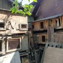 Клетки для кроликов отдам БЕСПЛАТНО!!! СРОЧНО!!!, в г.Алматы