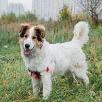 Волшебный Балу, в Нижнем Новгороде