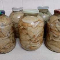 Грузди соленые, в Тюмени