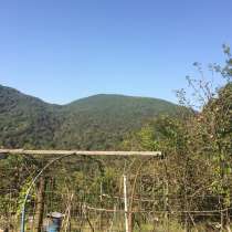 З/у 35 сот Сочи. Хостинский р-н, Хоста, в Сочи