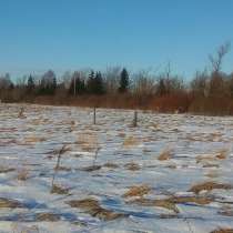 Продажа земельного участка промназначения 11,6 га, в Великом Новгороде