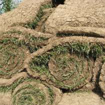 Укладка газона по Белгородской области, в Белгороде