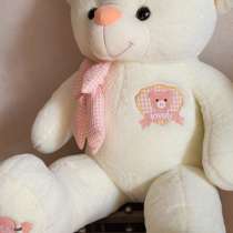 Плюшевый медведь, в Владивостоке