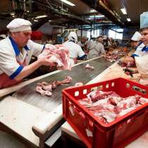 Польша. Упаковка продукции (стейки), 850 евро, в Москве