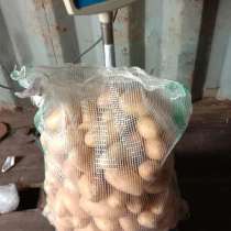 Картофель оптом нового урожая – сорт Мелодия, мытый, в Москве