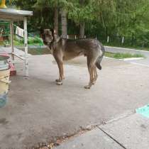 Отдам кабеля в частный дом или автостоянку, в Новосибирске