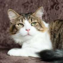 Мени – потешный нос, в г.Минск