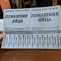 Домашнее яйца, в Тамбове