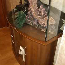 Аквариум, в Сургуте