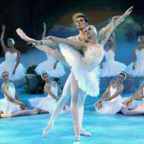 Билеты на гала-концерт, балет, в Истре