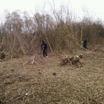 Уборка дачных участков, в Щербинке