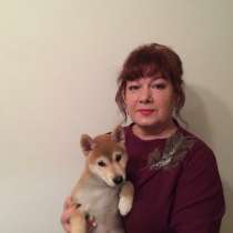 Помогу одобрить ипотеку, в Перми