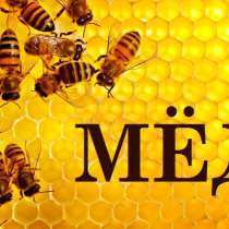 Мёд из леса!, в Тарусе