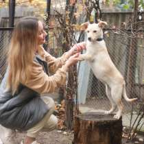 Жемчужный щеночек, в Санкт-Петербурге