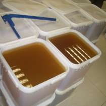 Мед и пчелопродукты от производителя, в Краснодаре