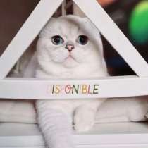 Шикарный британец, в г.Барселона